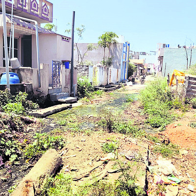 ● ఇలా ఉంటే రోగాలు రావా.. 1
