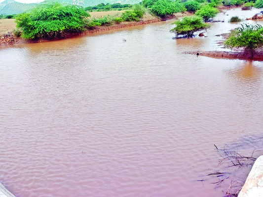 జిల్లాలో విస్తారంగా వర్షాలు1