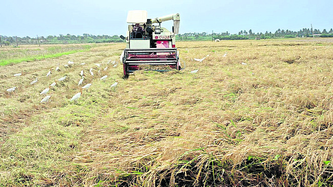రైతు రుణాలకు.. ముప్పుతిప్పలు 1
