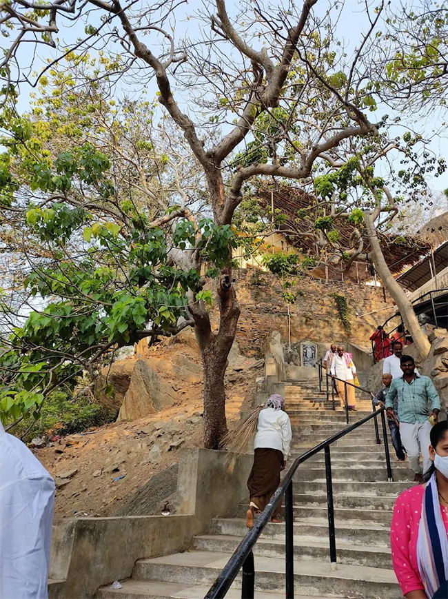 Sri Malayadri Lakshmi Narasimha Swamy Temple Malakonda Photos23