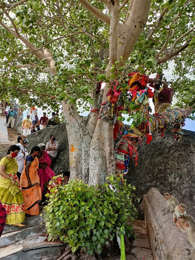 Sri Malayadri Lakshmi Narasimha Swamy Temple Malakonda Photos24