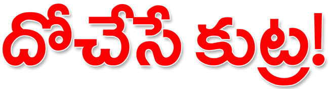 కాపుగాసి..
1