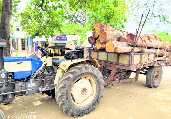 అక్రమ కలప స్వాధీనం 1