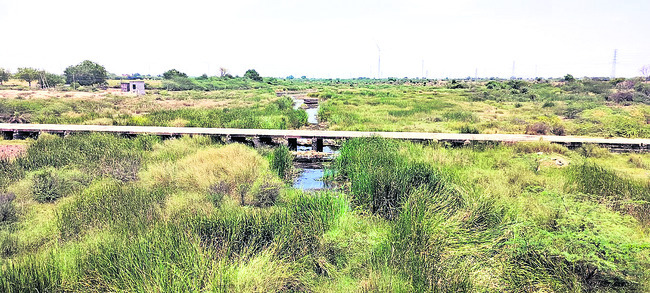 కోడుమూరులో ప్ర‘జల’ కష్టాలు1