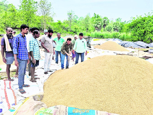 వర్షానికి తడిసిన ధాన్యం 1