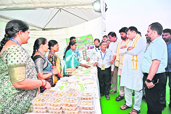 స్టాళ్లను పరిశీలించిన మంత్రి శ్రీధర్బాబు
1