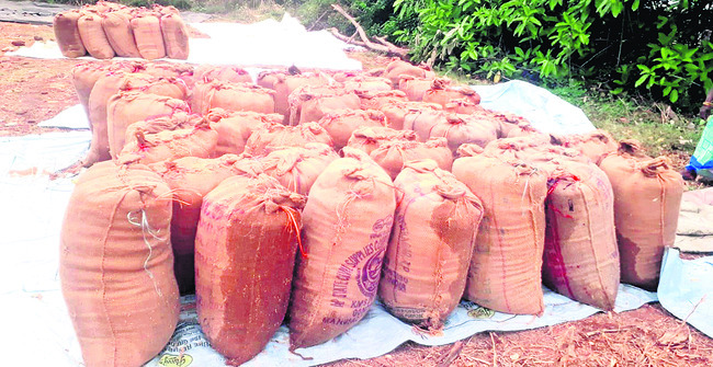 అకాల వర్షంతో రైతుల్లో ఆందోళన2