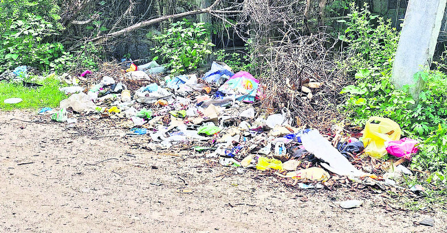 చెత్త తొలగదు.. కంపు వదలదు1