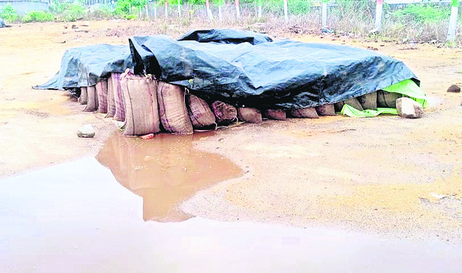 అకాల వర్షంతో రైతుల్లో ఆందోళన1