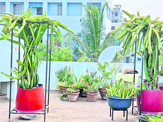 శ్రీకాకుళం2