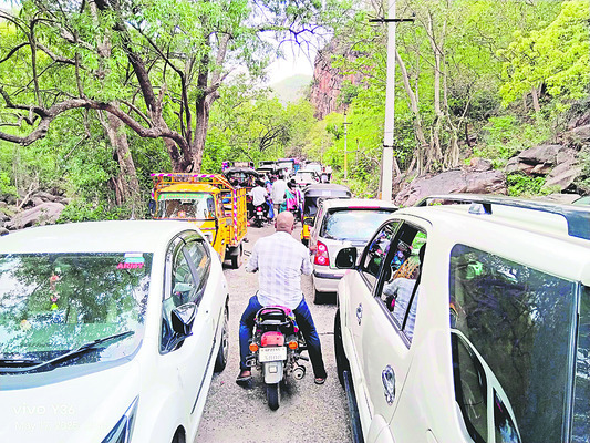 మిర్చి రైతు కంట్లో కారం7