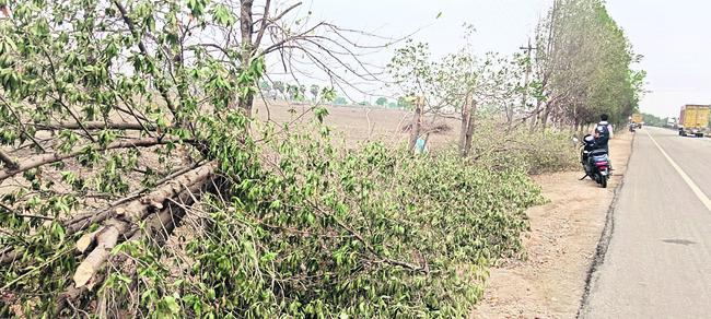 విద్యుత్శాఖ ముందస్తు సన్నద్ధం1