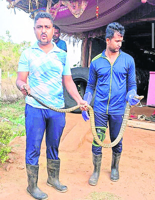 ఒడిశా ప్రదేశ్ కాంగ్రెస్ కమిటీ కొత్త కార్యవర్గం 2