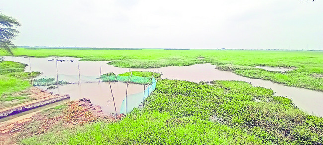 మన్నించండి మహారాజా..1