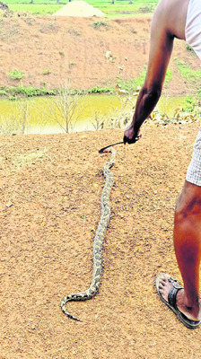 యథేచ్ఛగా గ్రావెల్ రవాణా 2