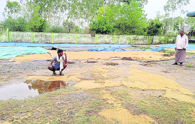అకాల వర్షం.. తడిసిన ధాన్యం1
