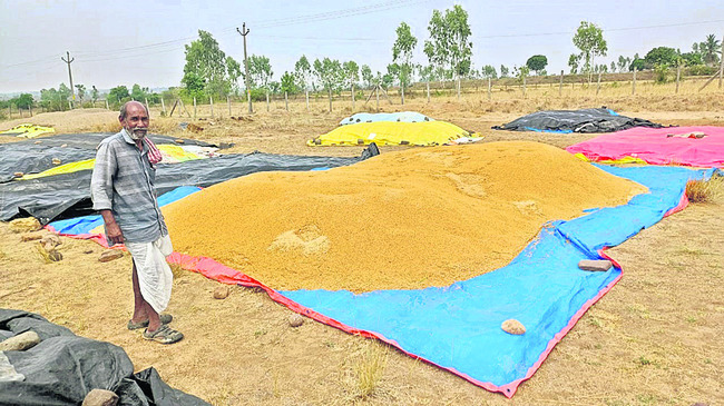 అకాల వర్షం.. తడిసిన ధాన్యం2