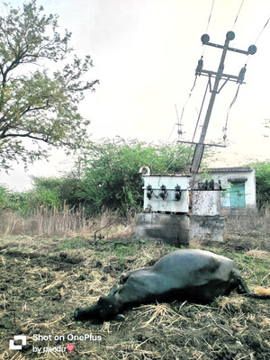 దుకాణంలో చోరీకి యత్నం1