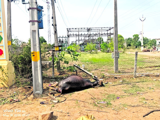 దుకాణంలో చోరీకి యత్నం2