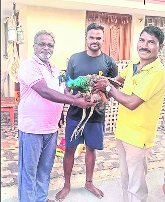 వారధికి ముప్పు3