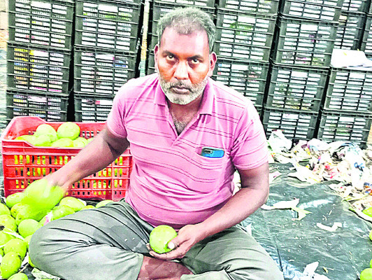 మామిడి మార్కెట్‌తో ఉపాధి2