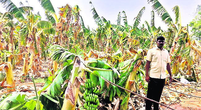 గాలి, వాన బీభత్సం 1