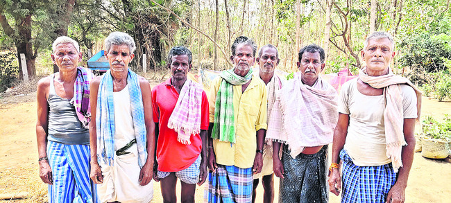 ఏడిపింఛెన్ 1