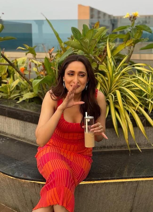 Pragya Jaiswal Shares Adorable Pictures With Sunset Pose8
