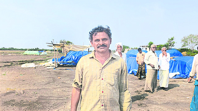 రైతు ఊపిరితీస్తున్న బ్లాక్‌ బర్లీ 3