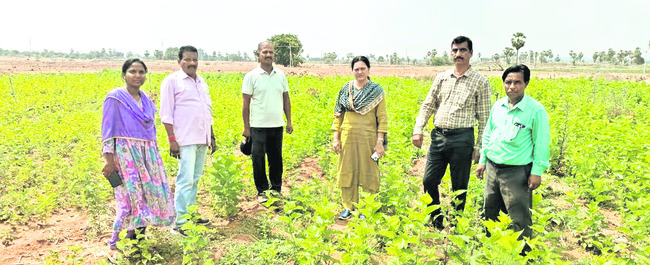 కేసుల విచారణలో నాణ్యత ముఖ్యం
2