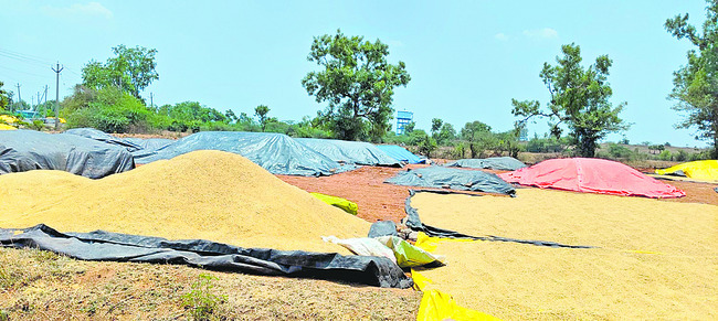 ఎక్కడి వడ్లు అక్కడే..!1