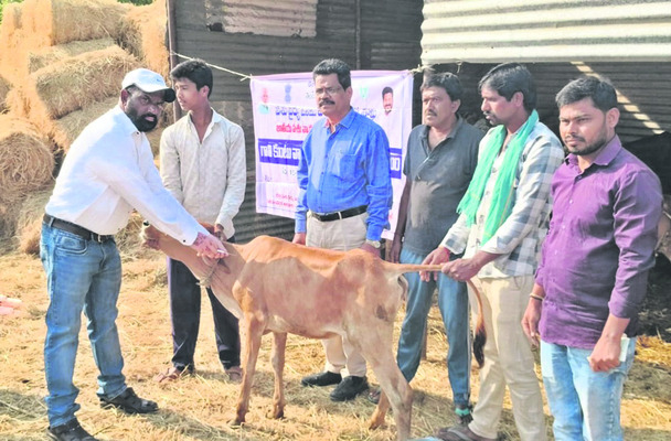 మా ఇష్టం 7