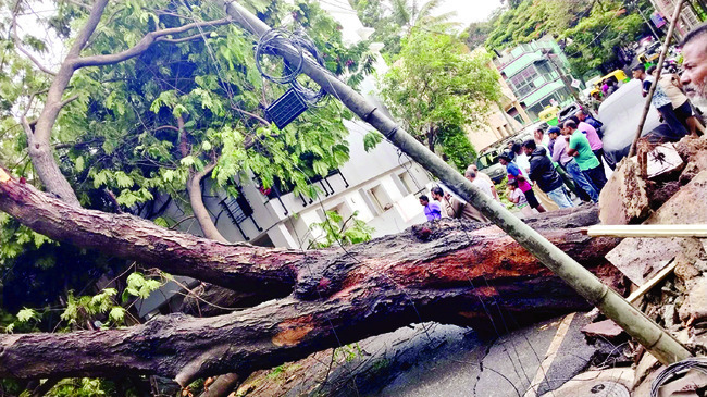 వర్ష బీభత్సం.. అంతా అస్తవ్యస్తం2