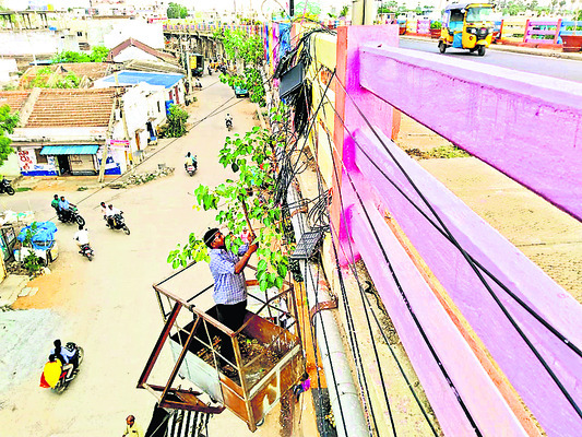 చెట్ల తొలగింపు పనులు షురూ1