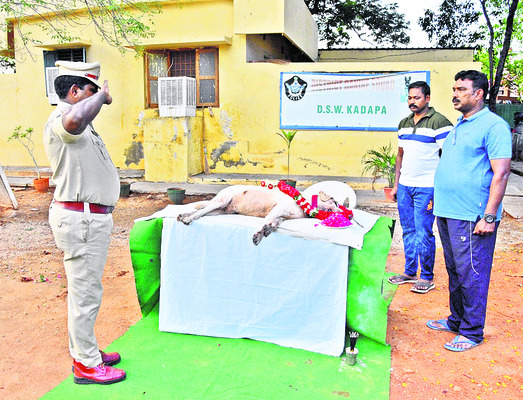 ఆన్లైన్ బదిలీలకు నేటి నుంచి దరఖాస్తులు 1