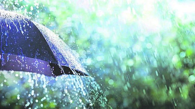 కృష్ణా జిల్లాలో 44.3 మి.మీ. సగటు వర్షపాతం 1
