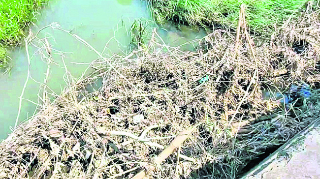 ఆవేదనలో రైతన్న3