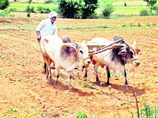 భరోసా కొందరికే..! 1