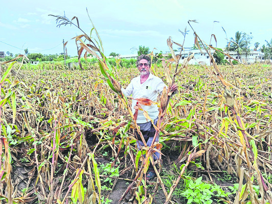 రైతులకు అకాల కష్టం 2