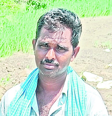 ‘పచ్చిరొట్ట’పై పునరాలోచన!2