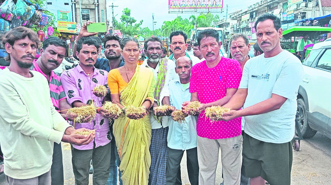 తడిసిన ధాన్యానికి తరుగు తీయొద్దు 1
