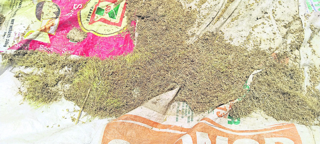 రెండో రోజూ దంచికొట్టిన వాన2