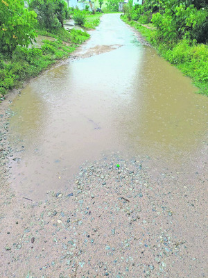 విద్యుత్‌ సింగిల్‌ విండో ఏర్పాటు
1