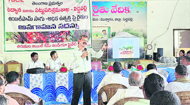 పూడికతీత పనులు త్వరగా పూర్తి చేయాలి2