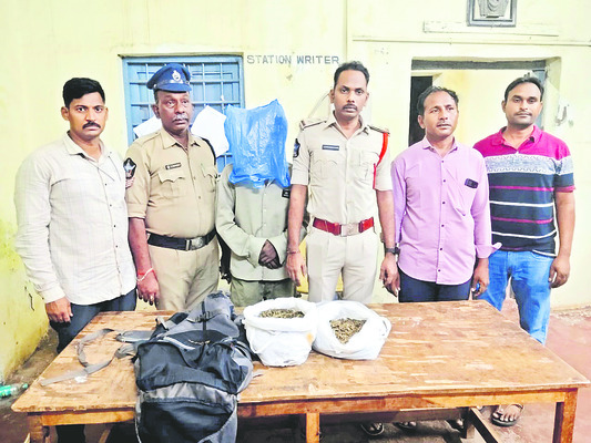 ప్రత్యేక పూజల్లో పాల్గొన్న శ్యామల 2