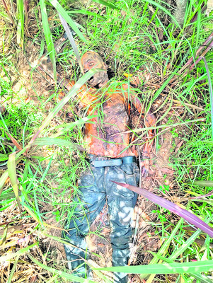 మళ్లీ ప్రారంభమైన గజ దాడులు
1