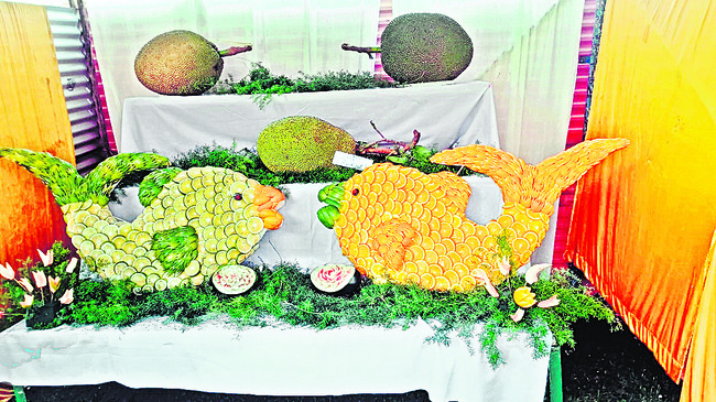 పండ్ల ప్రదర్శన అదుర్స్3