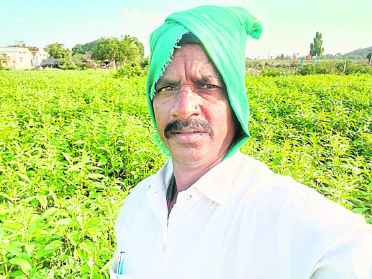 అకాల వర్షాలతో అన్నదాత విలవిల2