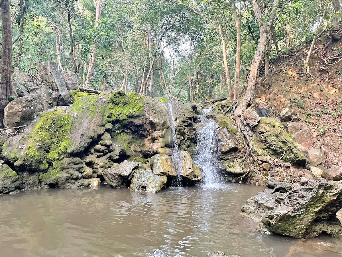 Gubbala Mangamma Thalli Temple West Godavari Andhra Pradesh3