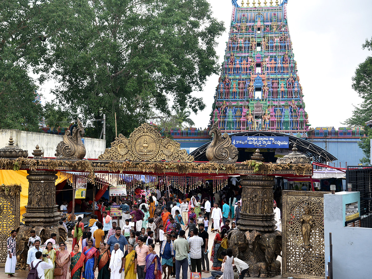 Telangana : Saraswati Pushkaralu 2025 Photos6